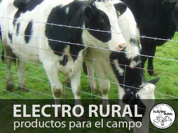 servicios